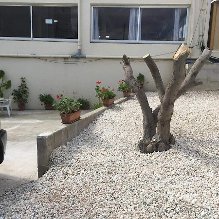 Ellenapa Apts & Studios Ayia Napa Eksteriør billede